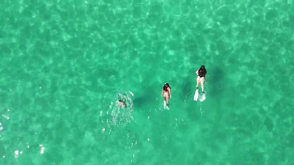 Vista aérea de uma fila de snorkelers sobre a água transparente